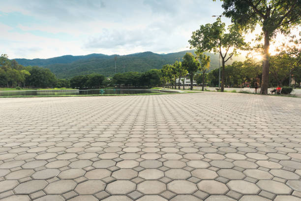 Best Affordable Driveway Pavers  in Green Oaks, IL