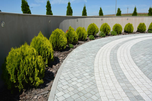 Best Driveway Paver Repair  in Green Oaks, IL